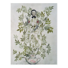 Elder Tree Mother' Postcards