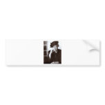 Eleanor Roosevelt bumper stickers
