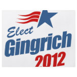 Elect Gingrich 2012 flyers