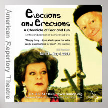 ELECTIONS & ERECTIONS30x30 Posters