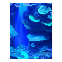 Electric Blue Fish Postcard