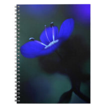 Electric Blue Flower Spiral Notebook