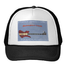 electric guitar bc rich petten