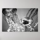 Electric Jellies Posters