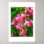 Electric Oleander III posters