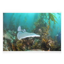 Electric Torpedo Ray Invites