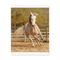 Elegance Post Card