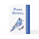 Elegant  Birthday, Blue Jay, Bird Nature Wildlife cards