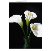 Elegant Calla Lily Flowers 10 Cards