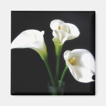Elegant Calla Lily Flowers 10 Refrigerator Magnet