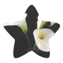 Elegant Calla Lily Flowers 12
