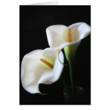 Elegant Calla Lily Flowers 13 Card