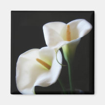 Elegant Calla Lily Flowers 13 Refrigerator Magnets