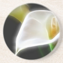 Elegant Calla Lily Flowers 16 Modern Coasters