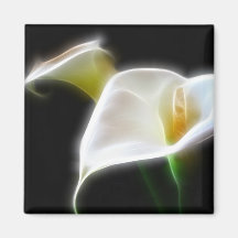 Elegant Calla Lily Flowers 16 Modern Fridge Magnets