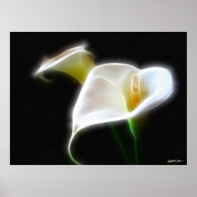 Elegant Calla Lily Flowers 16 Modern Posters