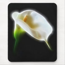 Elegant Calla Lily Flowers 3 Modern