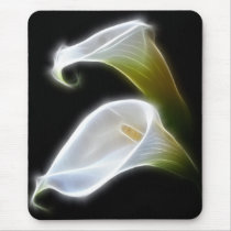 Elegant Calla Lily Flowers 4 Modern