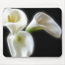 Elegant Calla Lily Flowers 6 Modern