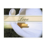 Elegant Calla Lily Love Postcard