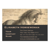 Elegant Equestrian Horsewoman's Stable Business Cards