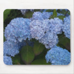 Elegant Hydrangeas mousepads