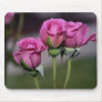 Elegant lavender rose 650 mouse pads