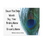 Elegant Peacock Save the Date postcards
