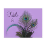 Elegant Peacock Table Number (purple) postcards