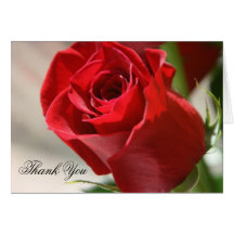 Elegant Red Rose Floral Wedding Thank You Card