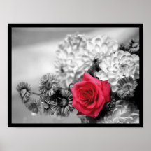 Elegant Red Rose Print