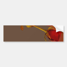 elegant red rose with a golden touch bumper stickers
