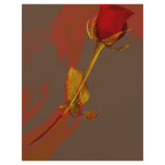 elegant red rose with a golden touch flyers