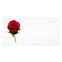 Elegant Red Rosebud Photo Cards