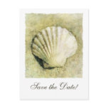Elegant Seashell Wedding Save the Date Postcard
