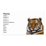 Elegant Siberian Tiger Business Card