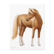 Elegant Sorrel Horse Postcard