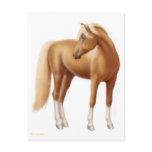 Elegant Sorrel Horse Postcard