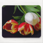 Elegant Tulips Mousepad