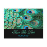 Elegant Vintage Peacock Invitation for Wedding Post Card
