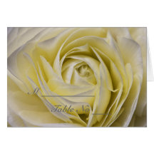 Elegant White Floral Place Setting Card