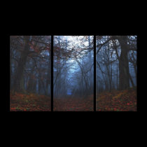 "Elegy" Wrapped Canvas (Tri-Panel) canvas prints