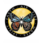 Element Butterfly t-shirts