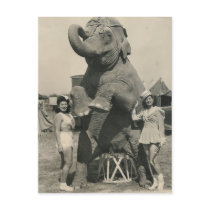 elephant and 2 girls circus post card
