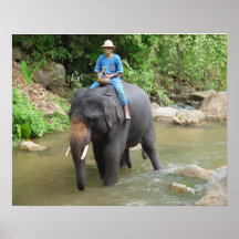 Elephant and Mahout-Chiang Mai, Thailand Print