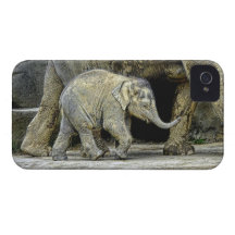 Elephant and Newborn Baby iPhone 4 Case