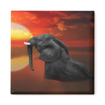 Elephant at the lake magnet