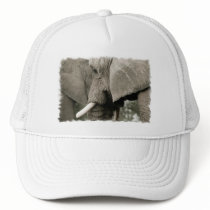 Elephant  Baseball hat