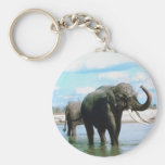 Elephant Bathing Key Chain