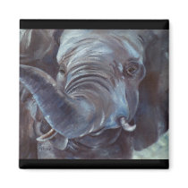 Elephant Big Boy Magnet